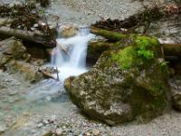 Felsklotz, Kaskade und Astwerk